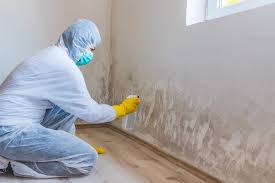 Forensic Mold Investigation in Hackleburg, AL