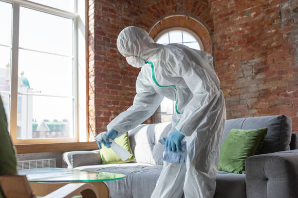 Best Forensic Mold Investigation  in Hackleburg, AL