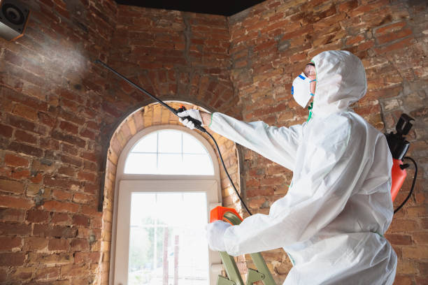 Biohazard Mold Removal in Hackleburg, AL